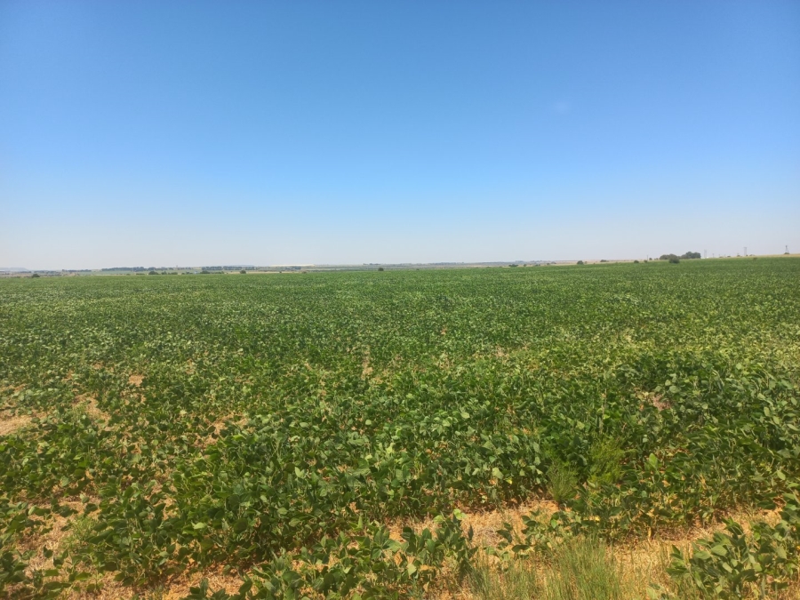 Commercial Property for Sale in Theunissen Free State